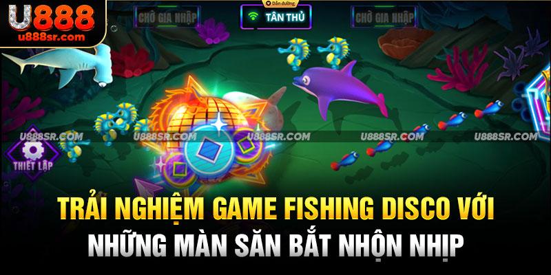 Trải nghiệm game Fishing Disco với những màn săn bắt nhộn nhịp